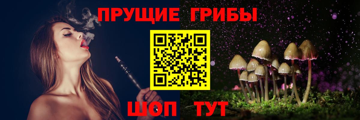 Псилоцибиновые грибы Cubensis  Псилоцибиновые грибы MAGIC MUSHROOMS  Вход с VPN  Гагарин 
